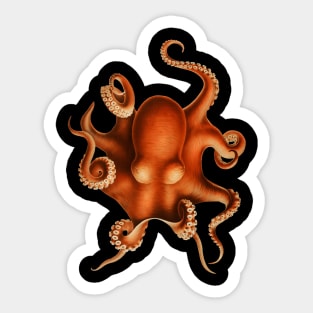 Octopus Sticker